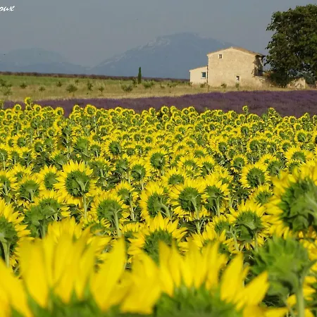 Les Secrets Du Mistral לינה וארוחת בוקר וואלנסול