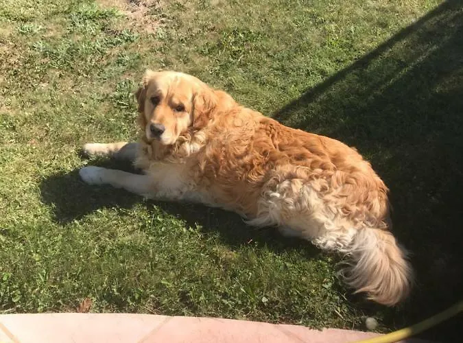 Les Secrets Du Mistral לינה וארוחת בוקר 3*