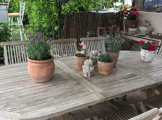 Les Secrets Du Mistral וואלנסול