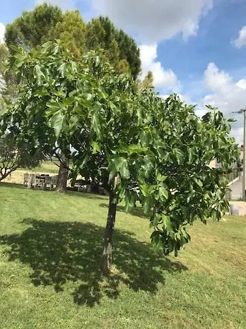 Les Secrets Du Mistral 3*