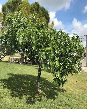 Les Secrets Du Mistral 3*