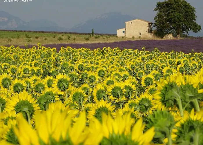 Les Secrets Du Mistral Bed & Breakfast Valensole